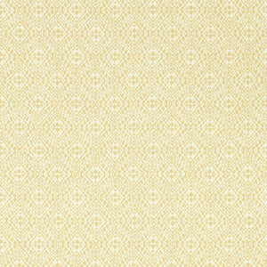 Sanderson Pinjara Trellis Behang 216907