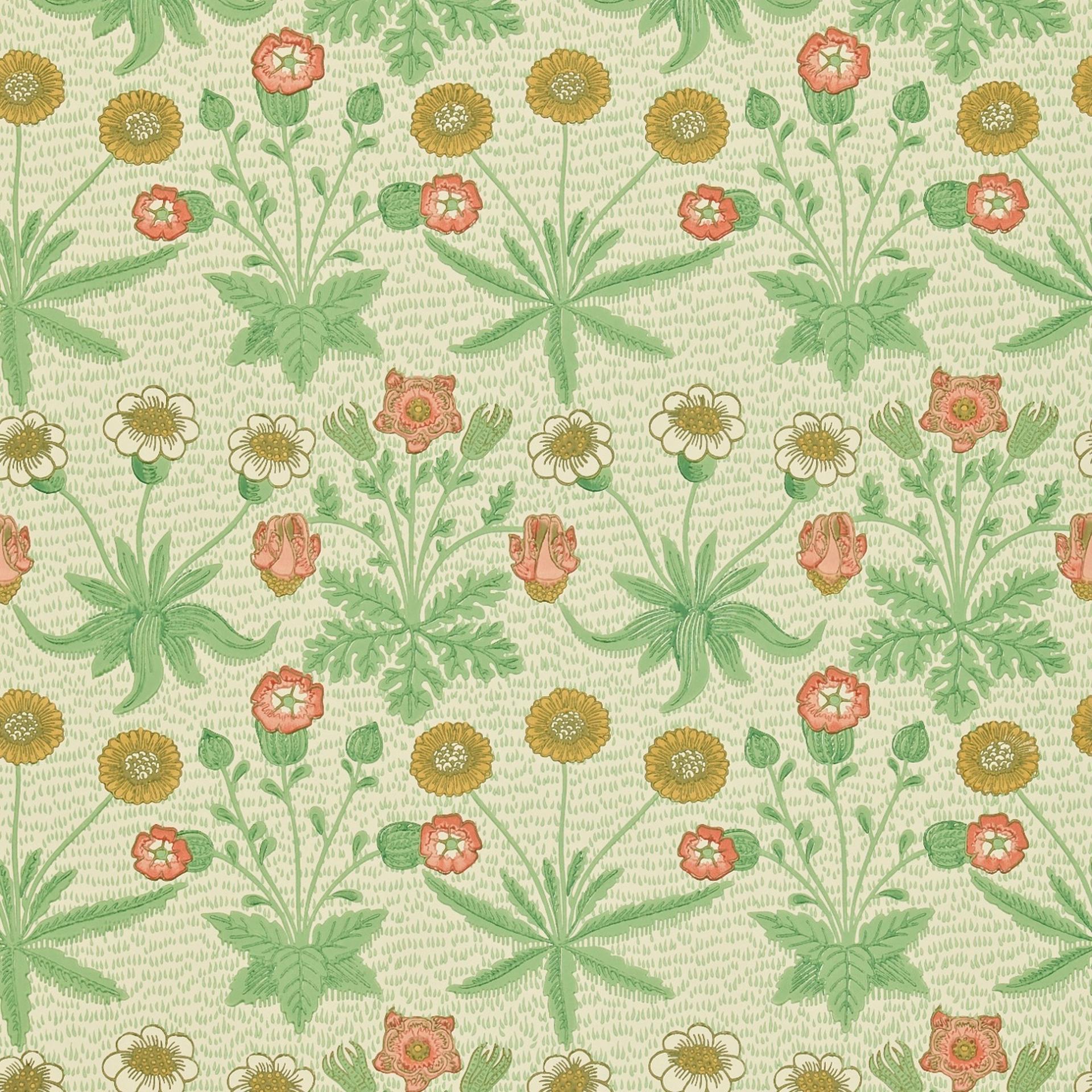 Morris & Co. Daisy Behang DJA1D1102