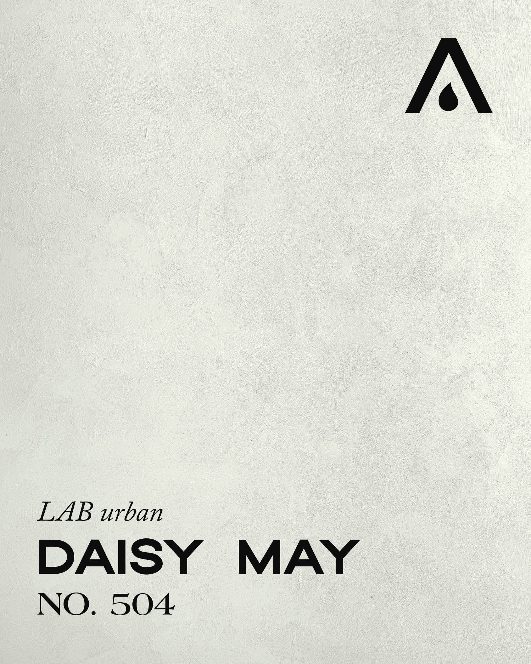 Daisy May no. 504