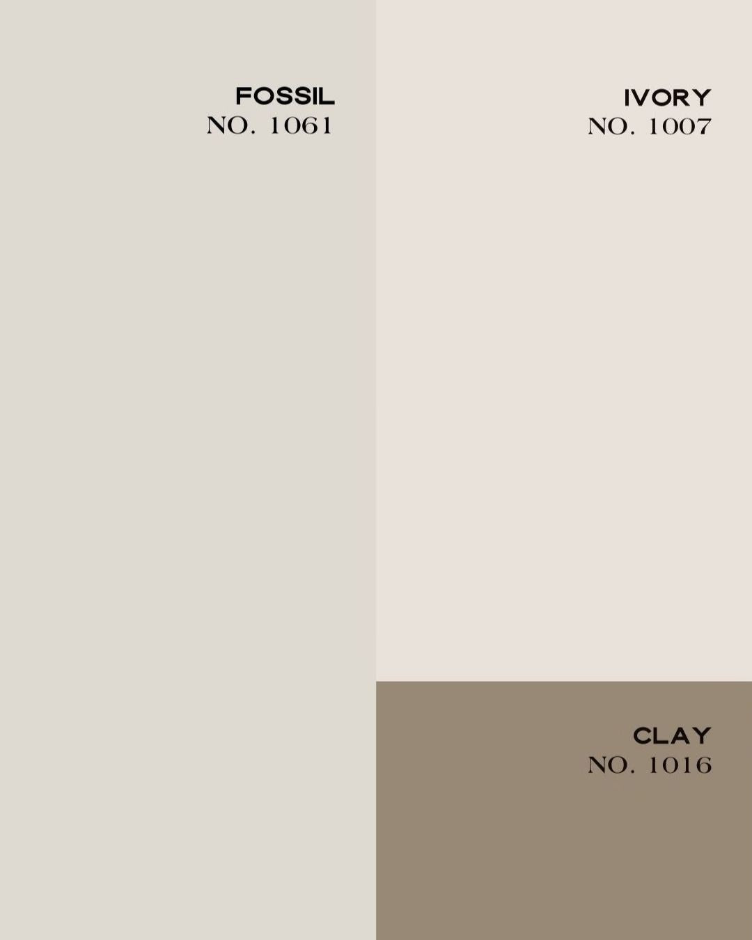 EMPERADOR FOSSIL NO. 1061