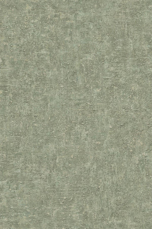 HookedOnWalls Passe Partout 2026 Colour Vibes 29803