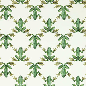 Harlequin Wood Frog Behang 113011 — LAB COLOUR THE WORLD