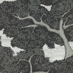 Harlequin Eternal Oak Wide Width Behang 113040 — LAB COLOUR THE WORLD