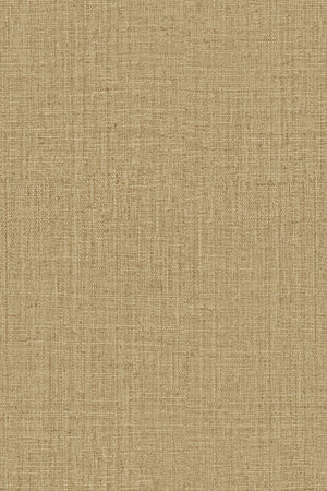 ARTE Peerless Intuition INT243 afbeelding 1 "Bruin"