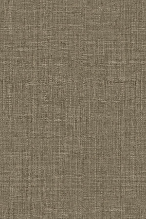 ARTE Peerless Intuition INT244 afbeelding 1 "Zwart / Grijs"