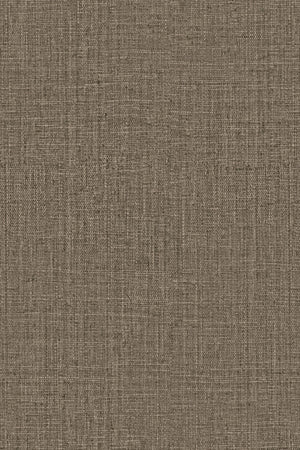 ARTE Peerless Intuition INT245 afbeelding 1 "Zwart / Grijs"