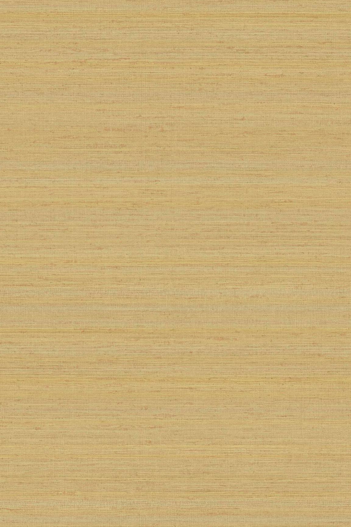 HookedOnWalls Passe Partout 2026 Colour Vibes 29903