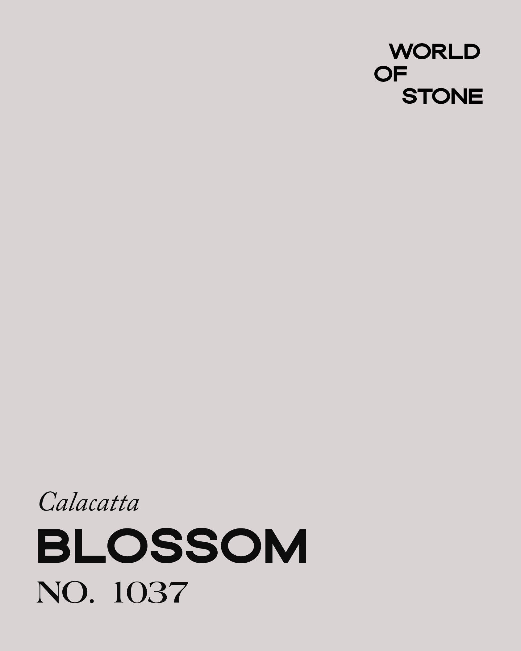 CALACATTA BLOSSOM NO. 1037