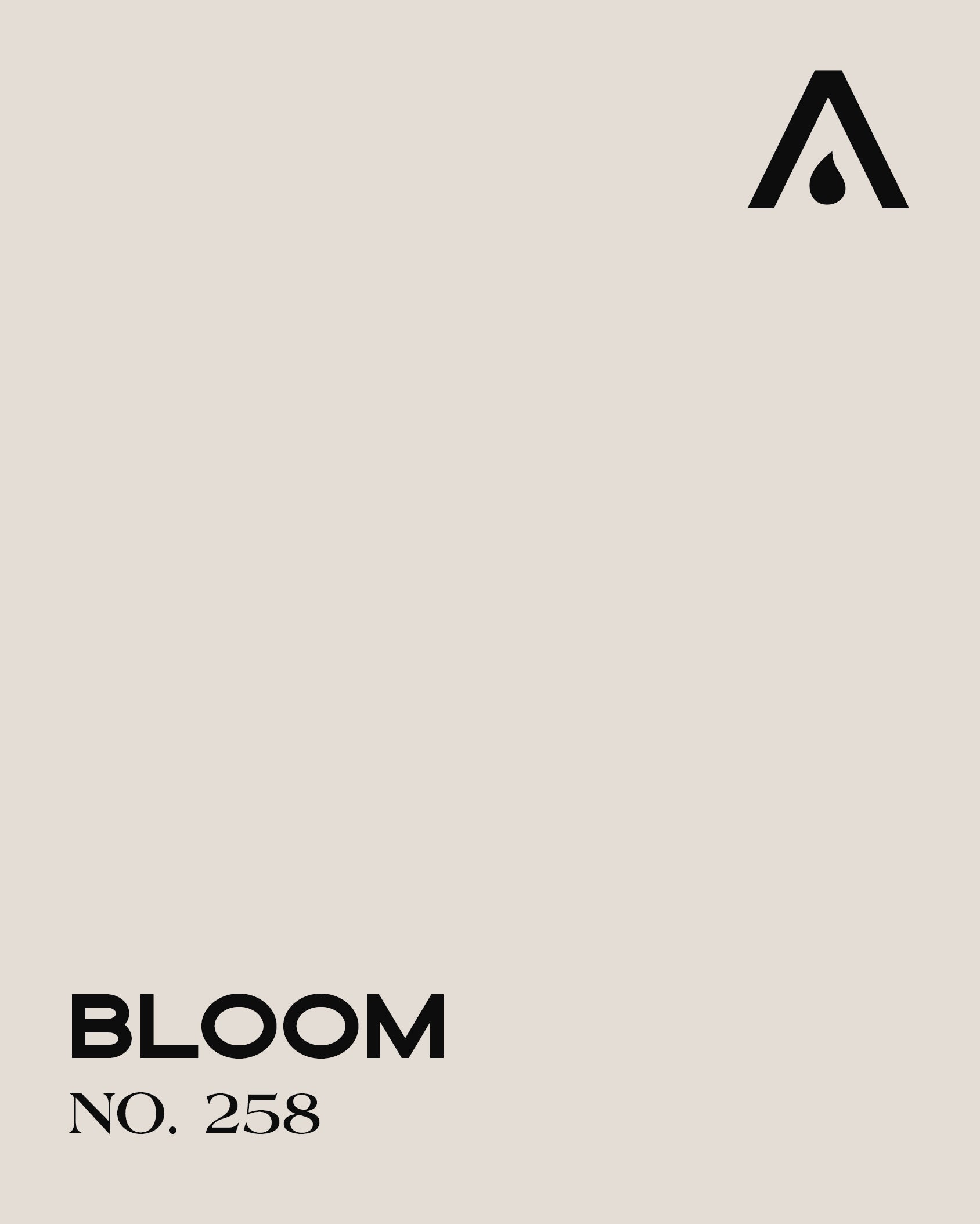 BLOOM NO. 258