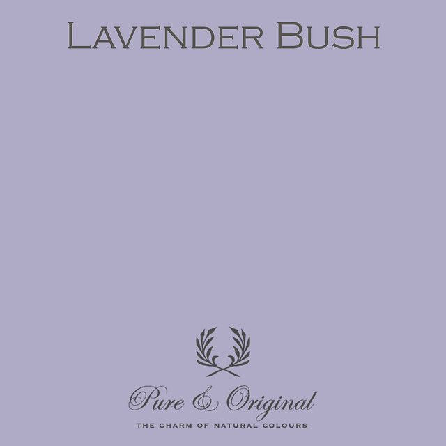 Lavender Bush