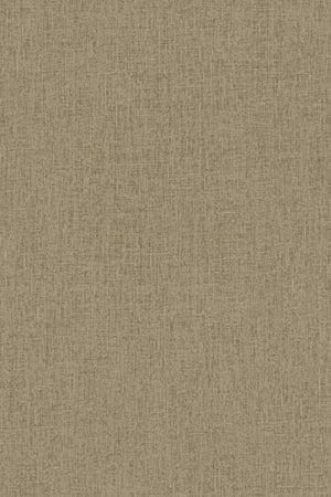 HookedOnWalls Passe Partout 2026 Colour Vibes 29835