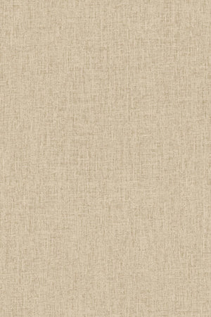 HookedOnWalls Passe Partout 2026 Colour Vibes 29820