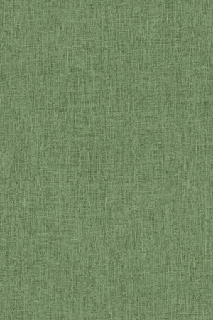 HookedOnWalls Passe Partout 2026 Colour Vibes 29808