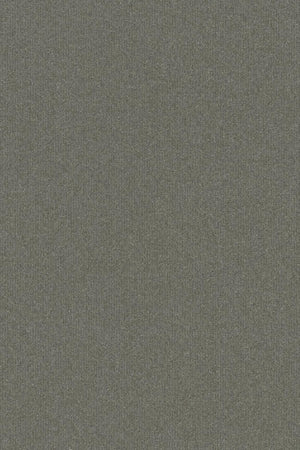 HookedOnWalls Passe Partout 2026 Colour Vibes 29848