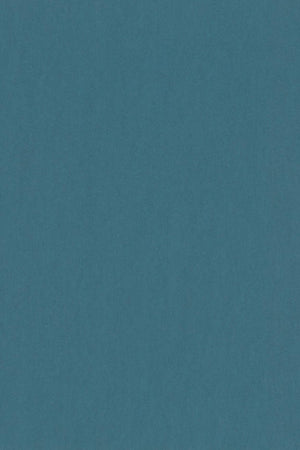 HookedOnWalls Passe Partout 2026 Colour Vibes 29962