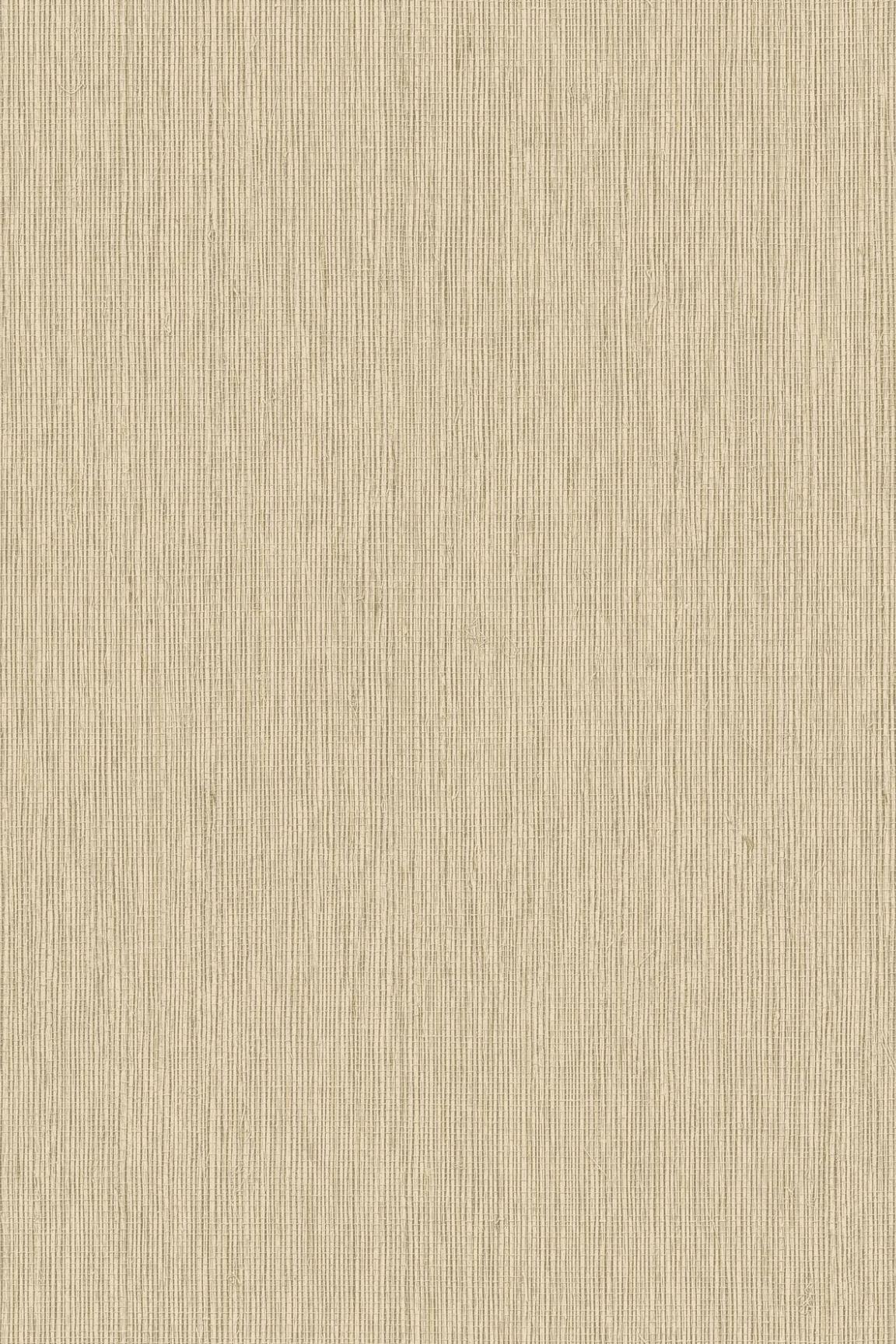 HookedOnWalls Passe Partout 2026 Colour Vibes 29869