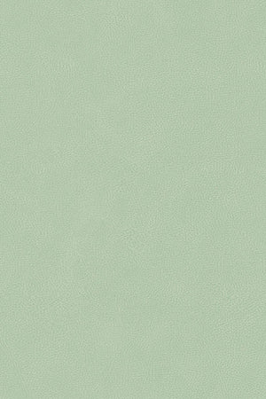 HookedOnWalls Passe Partout 2026 Colour Vibes 29805