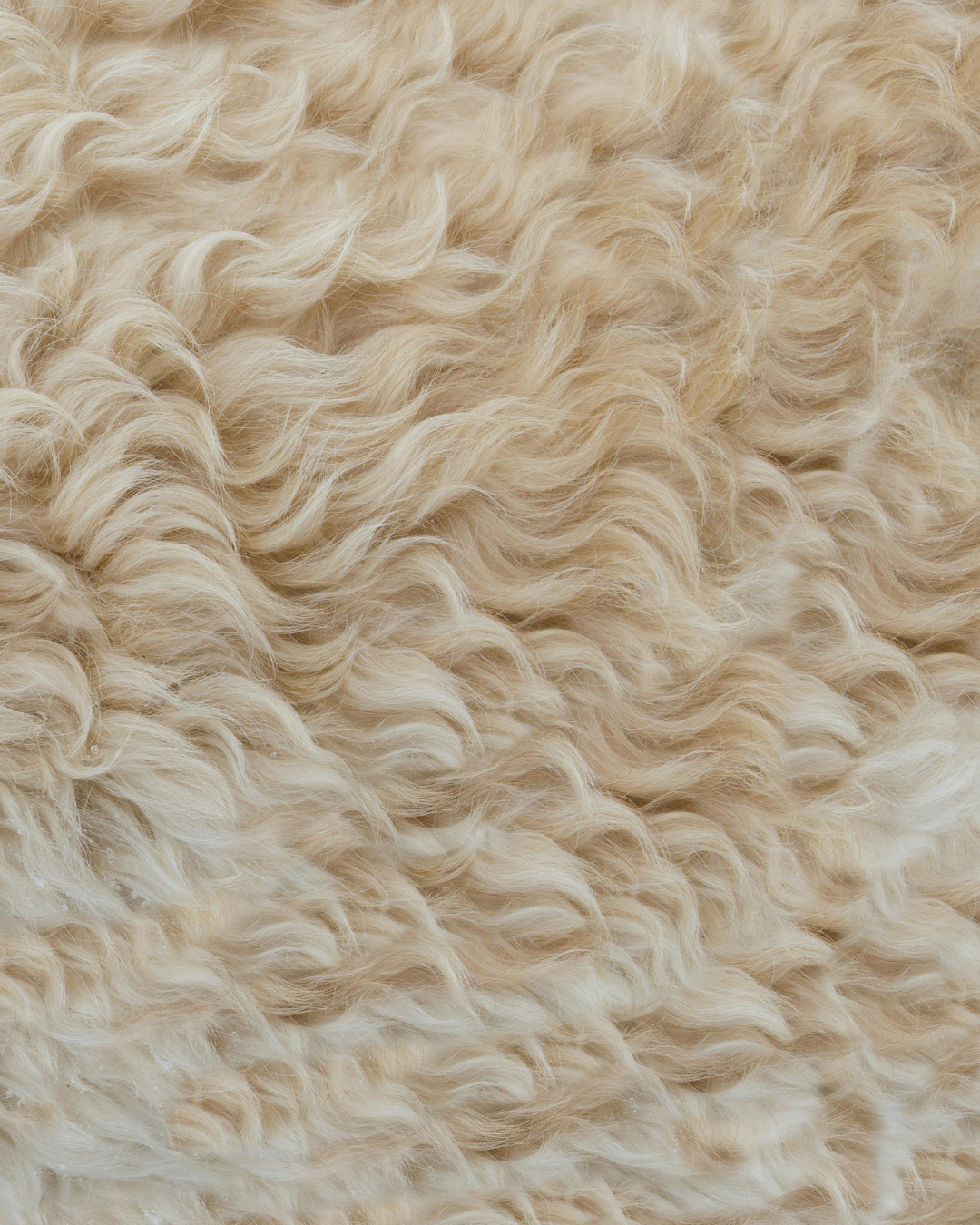 Mrs. Wool no. 108