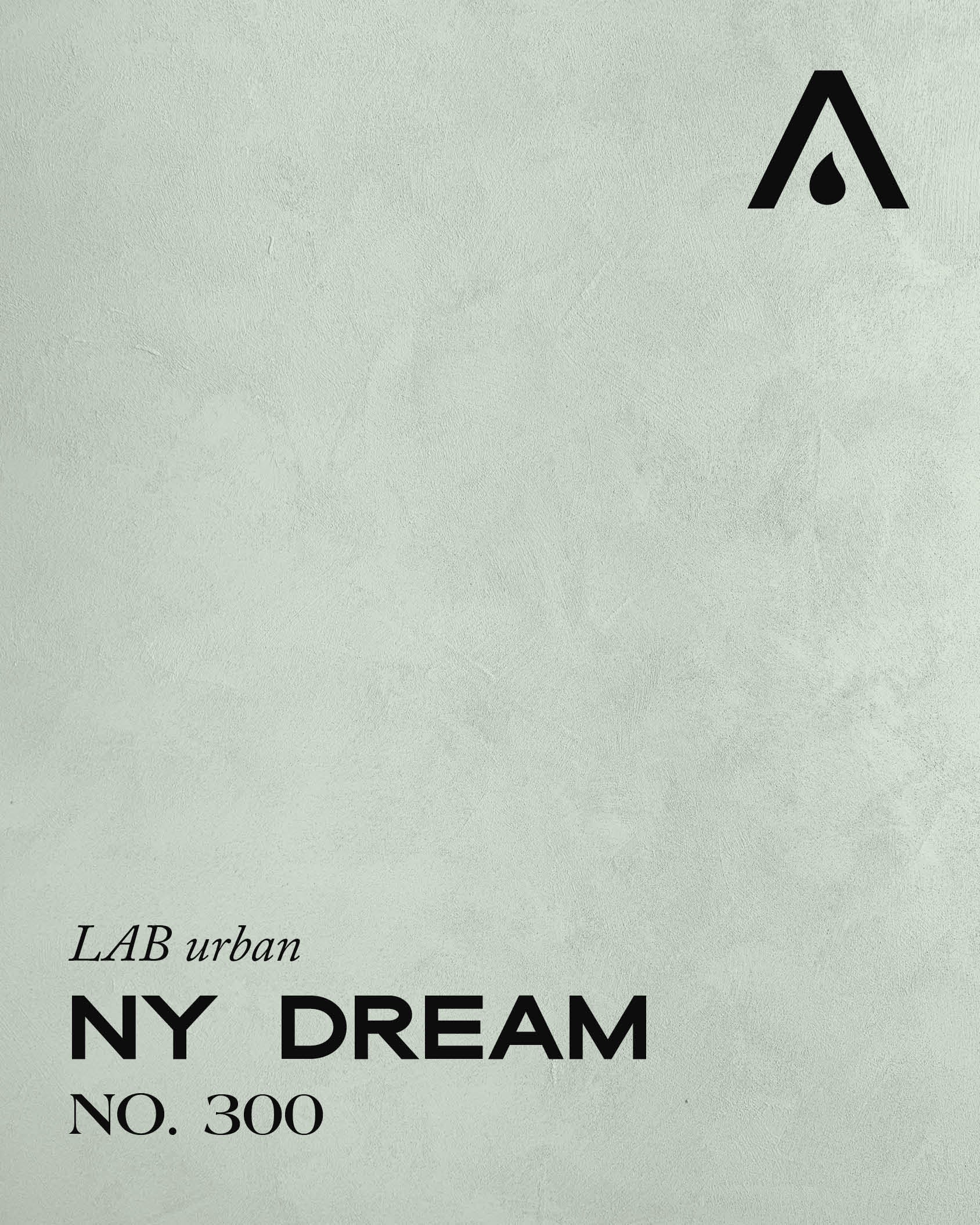 NY DREAM NO. 300