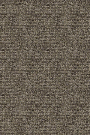 HookedOnWalls Passe Partout 2026 Colour Vibes 29836