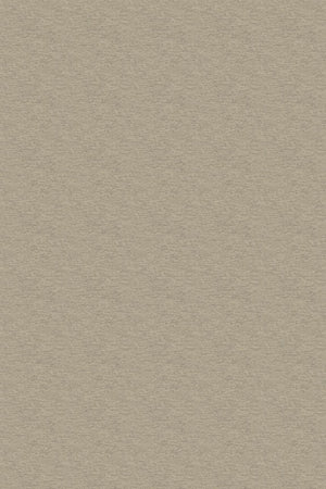 HookedOnWalls Passe Partout 2026 Colour Vibes 29831