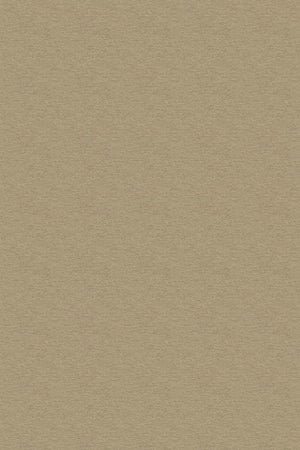 HookedOnWalls Passe Partout 2026 Colour Vibes 29834