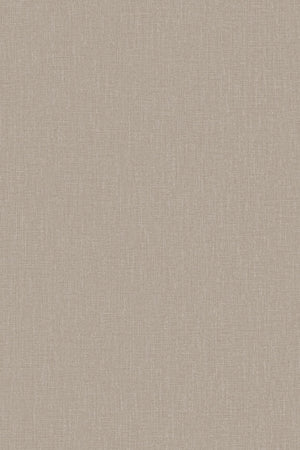 HookedOnWalls Passe Partout 2026 Colour Vibes 29838