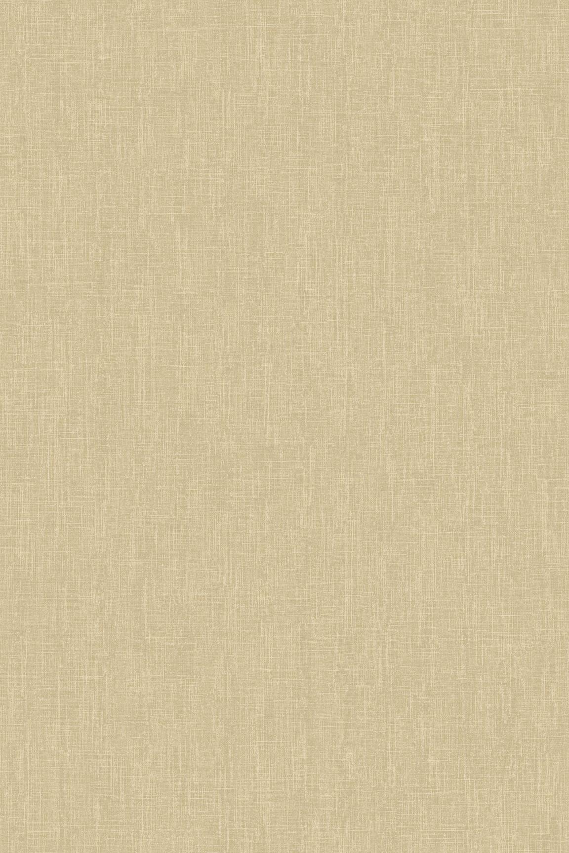 HookedOnWalls Passe Partout 2026 Colour Vibes 29896