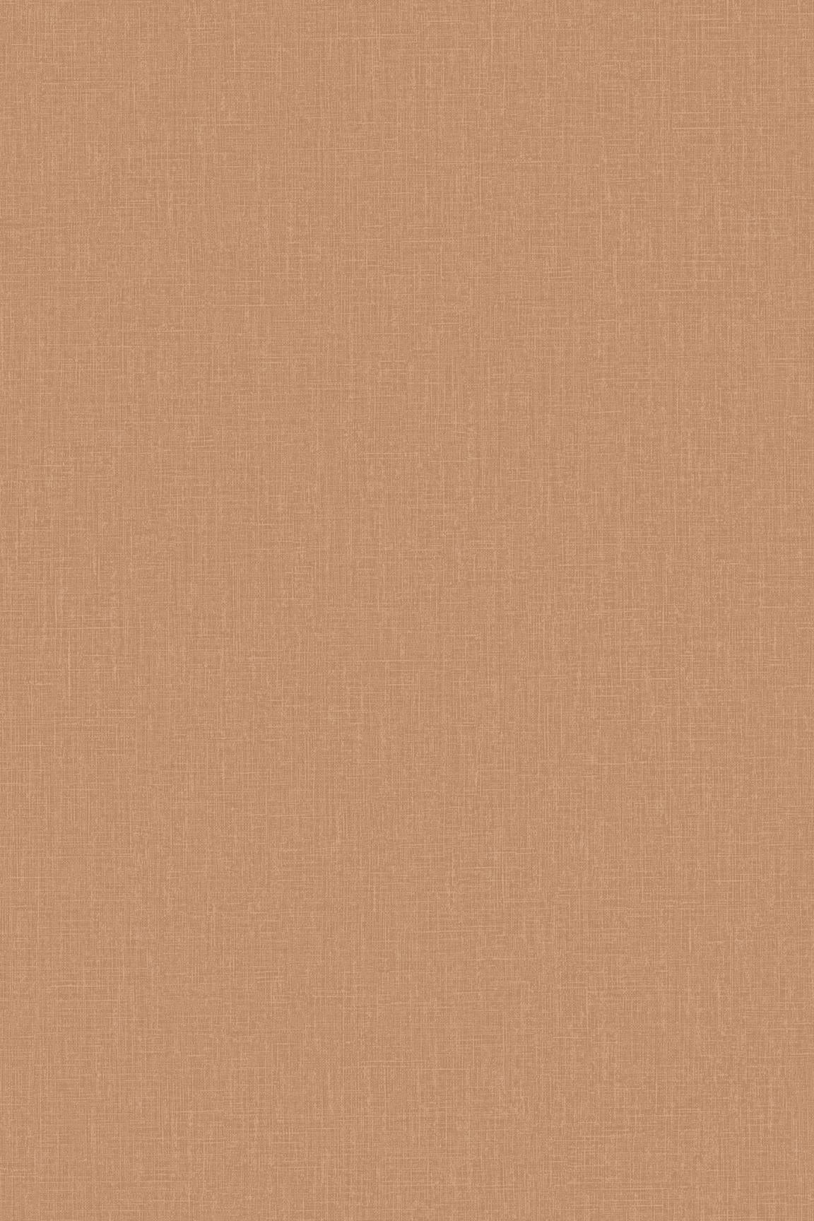 HookedOnWalls Passe Partout 2026 Colour Vibes 29871