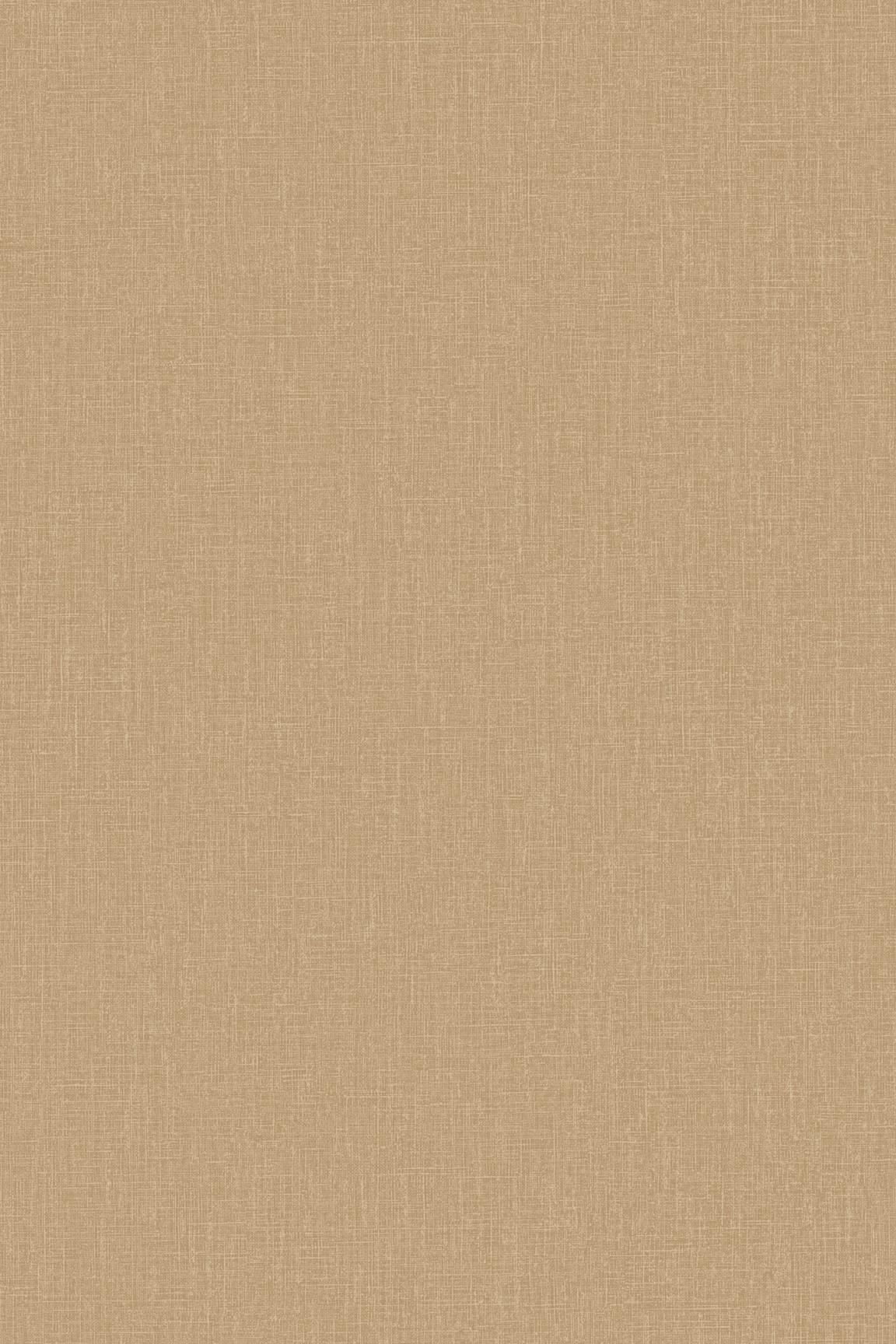 HookedOnWalls Passe Partout 2026 Colour Vibes 29886