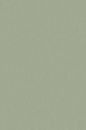 HookedOnWalls Passe Partout 2026 Colour Vibes 29804