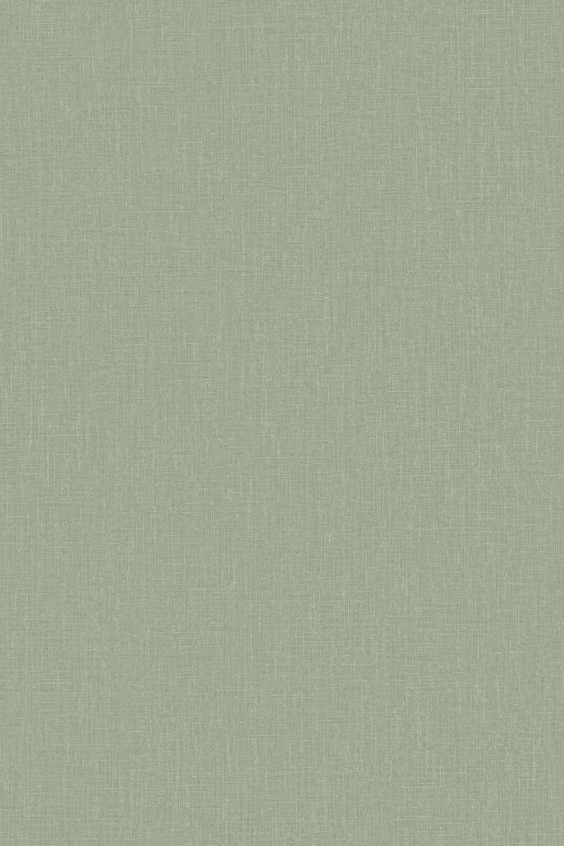 HookedOnWalls Passe Partout 2026 Colour Vibes 29804