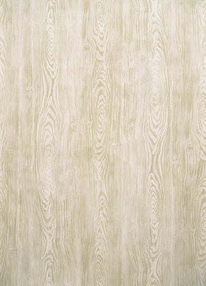 Pierre Frey Boiserie Behang FP219002 - LAB COLOUR THE WORLD