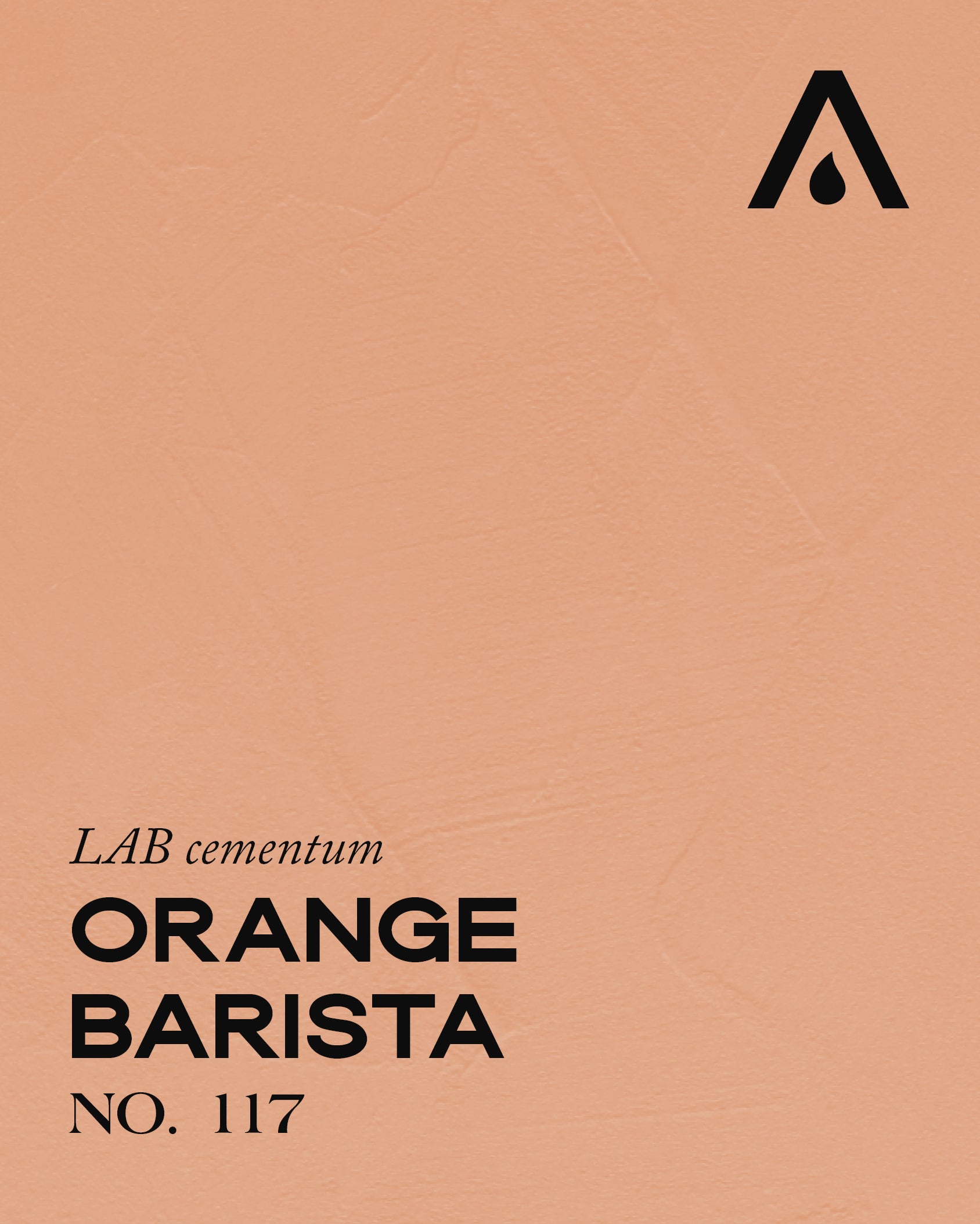 ORANGE BARISTA NO. 117
