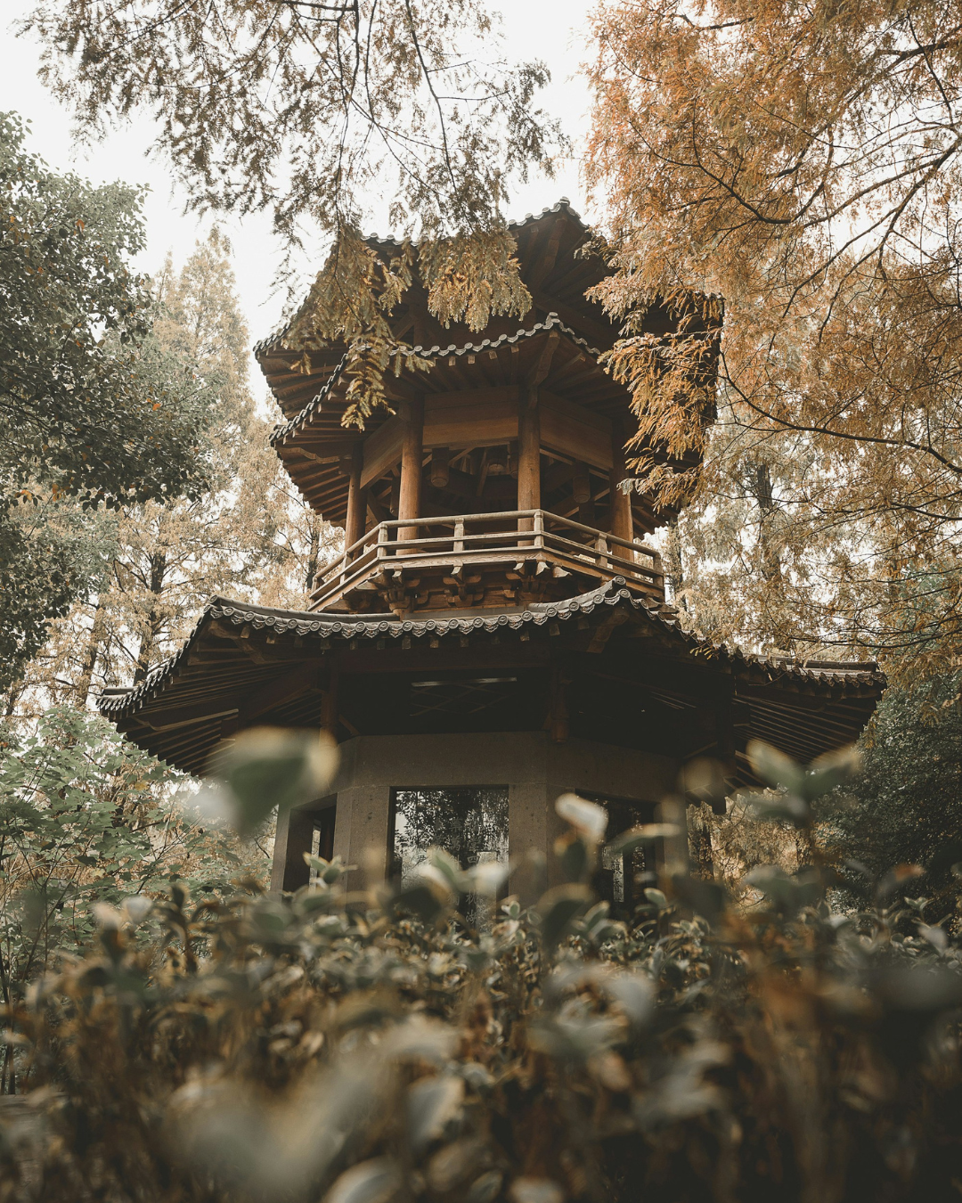 ORIENTAL ECRU NO. 434