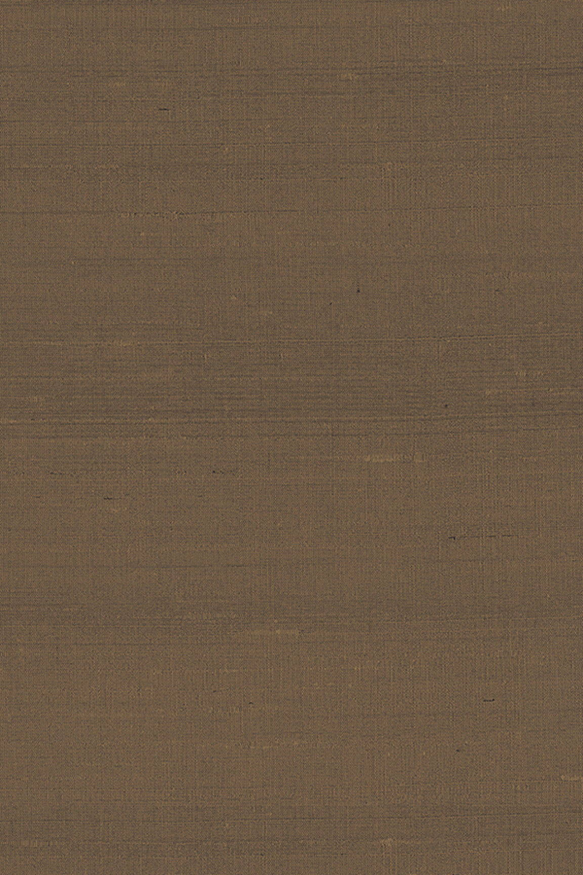 ARTE Latus Paleo 50508 afbeelding 1 "Bruin"