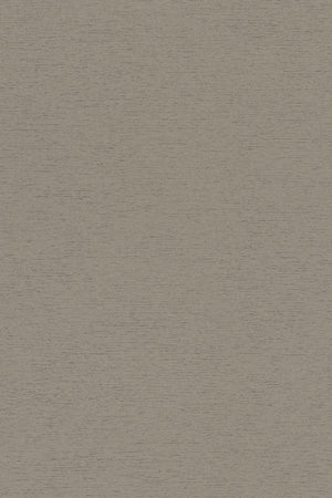 HookedOnWalls Passe Partout 2026 Colour Vibes 29840