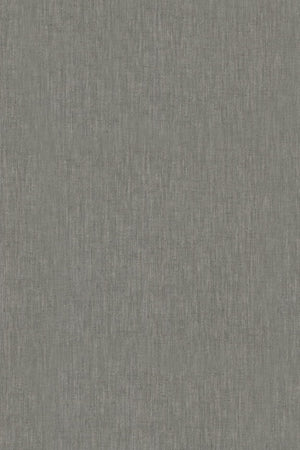 HookedOnWalls Passe Partout 2026 Colour Vibes 29927