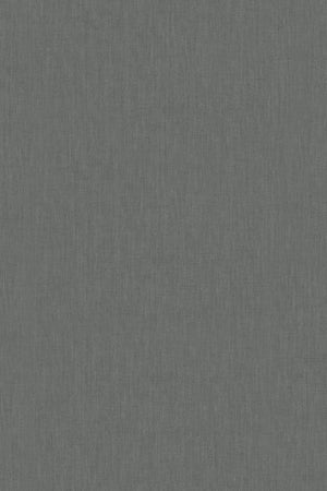 HookedOnWalls Passe Partout 2026 Colour Vibes 29930