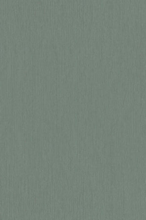 HookedOnWalls Passe Partout 2026 Colour Vibes 29943