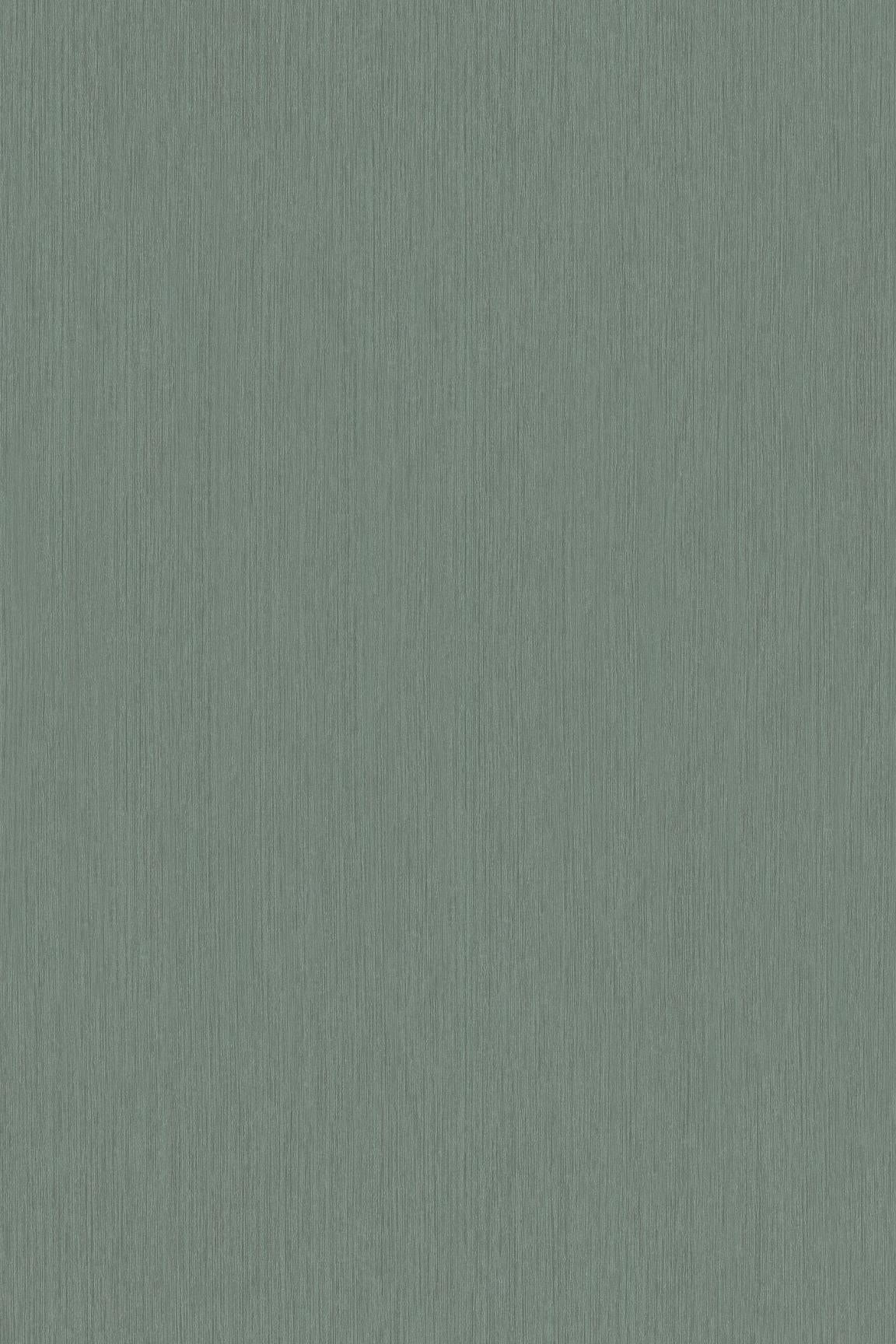 HookedOnWalls Passe Partout 2026 Colour Vibes 29943