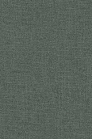 HookedOnWalls Passe Partout 2026 Colour Vibes 29944