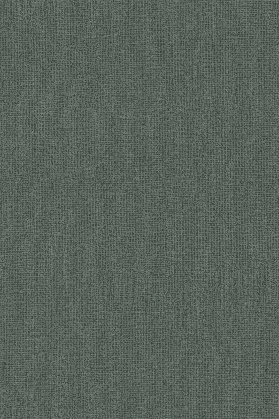 HookedOnWalls Passe Partout 2026 Colour Vibes 29944