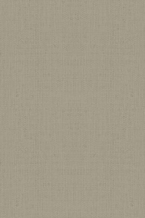 HookedOnWalls Passe Partout 2026 Colour Vibes 29816