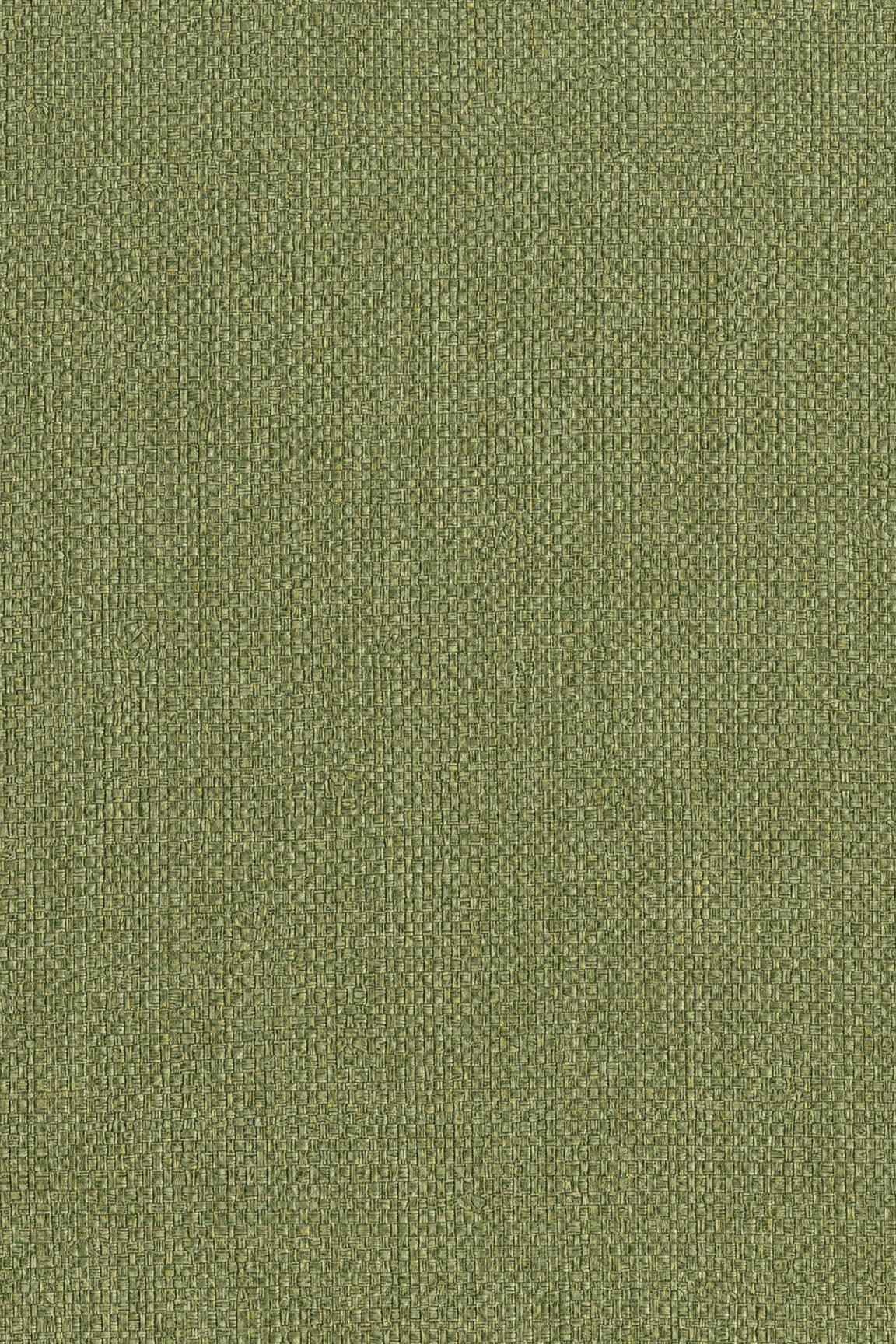 HookedOnWalls Passe Partout 2026 Colour Vibes 29809