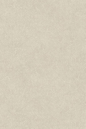 HookedOnWalls Passe Partout Monochrome Behang 62705