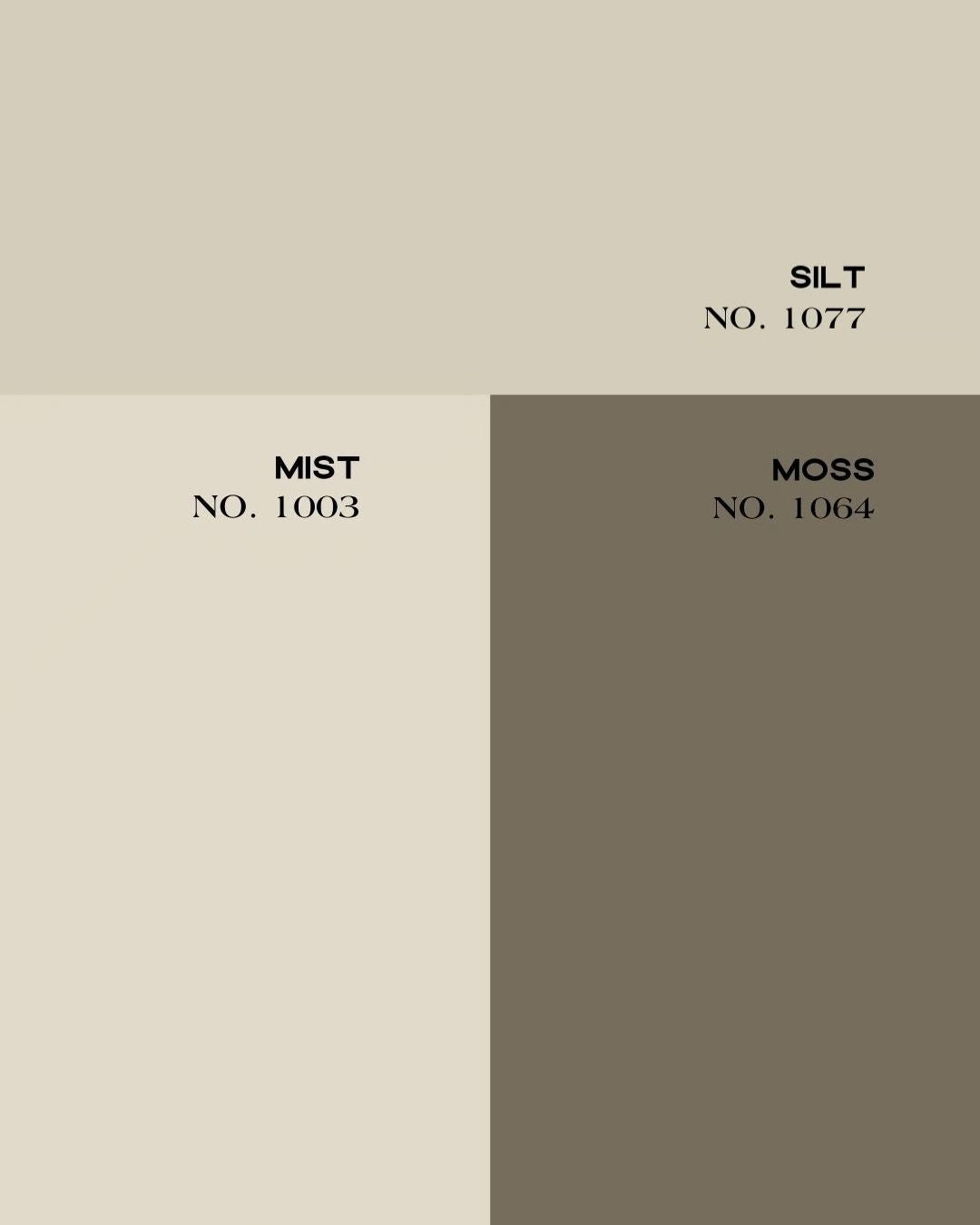 PATAGONIA SILT NO. 1077