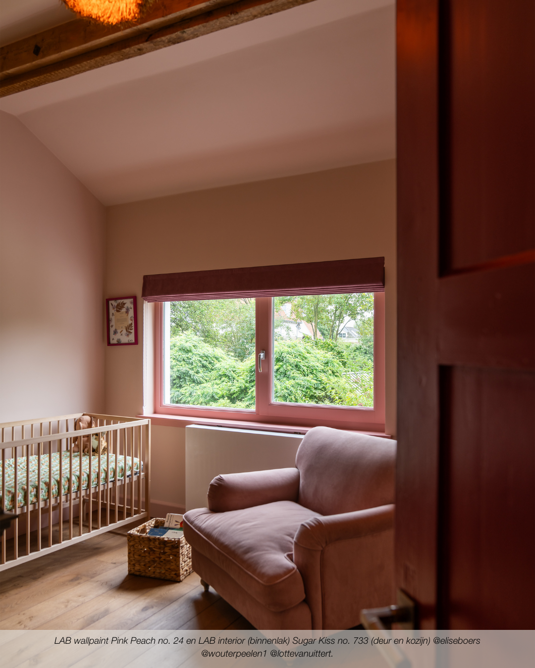 ROSA PFIRSICH NR. 24