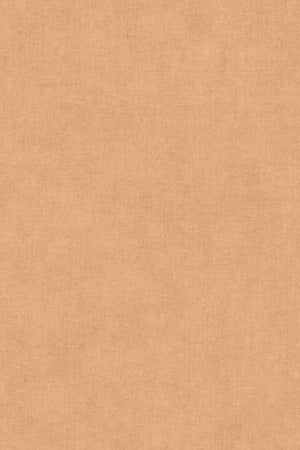 HookedOnWalls Promenade Sand 20241