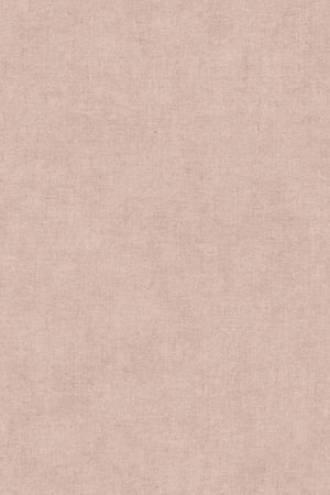 HookedOnWalls Promenade Sand 20242